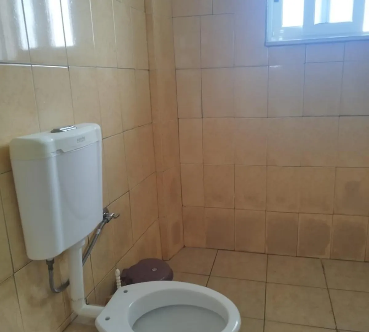 Vila Rusi Σαράντα